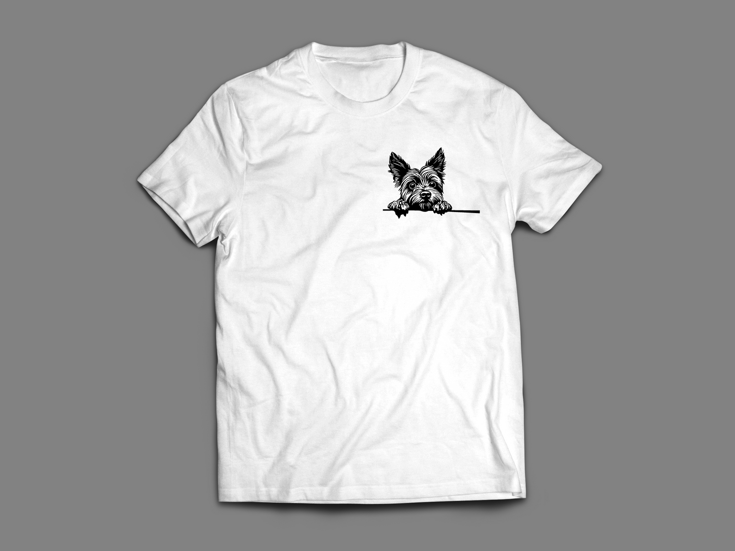 Yorkshire Terrier Peeping